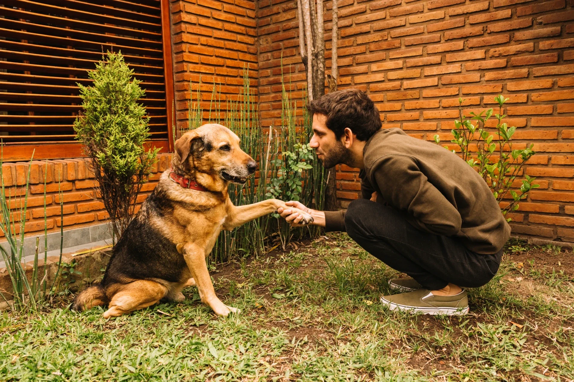 5_Must_Have_Local_Collaborations_for_Pet_Salons_in_India_DINGG