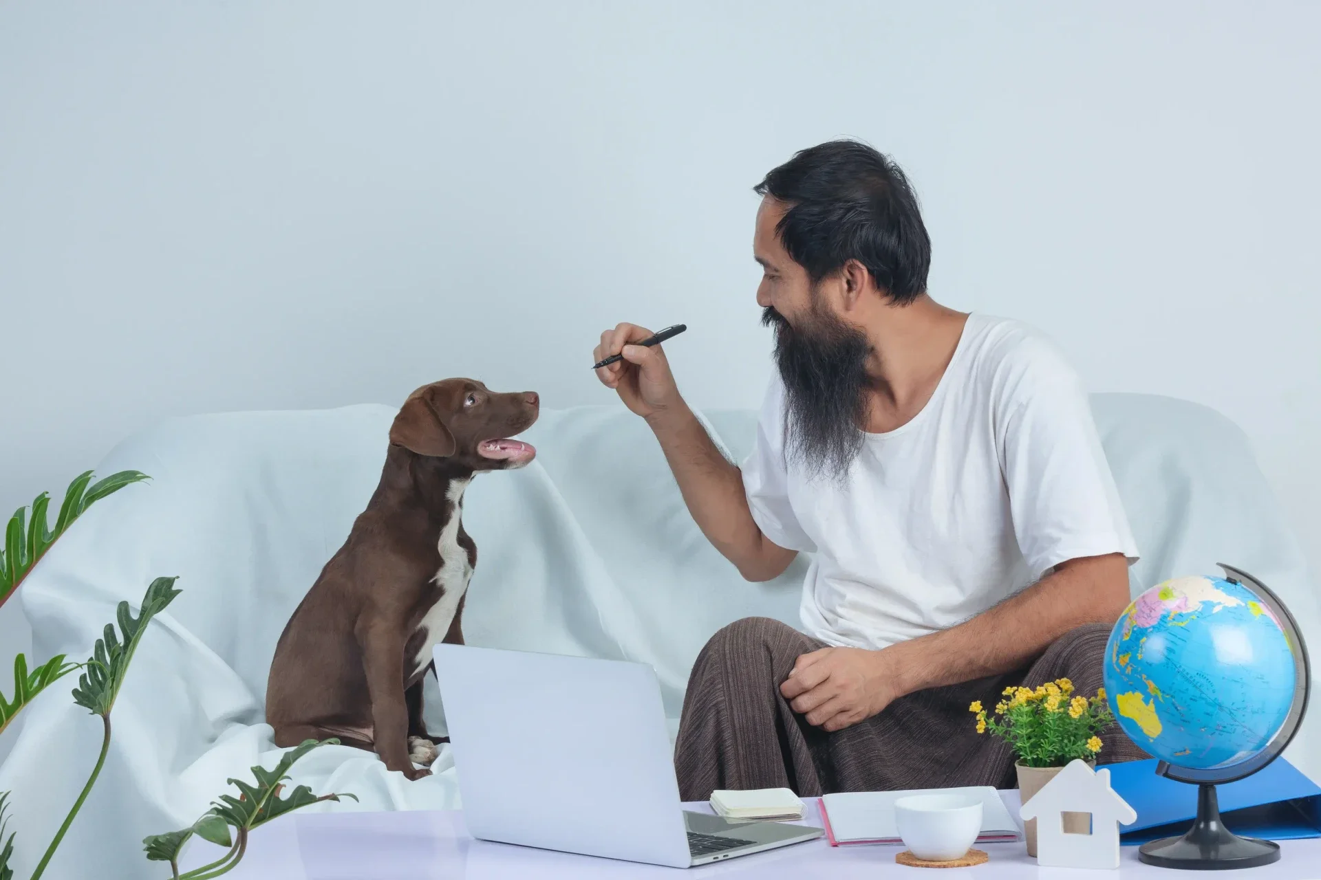 Stop_Buying_Followers_Authentic_Social_Media_Strategies_for_Indian_Pet_Groomers_DINGG